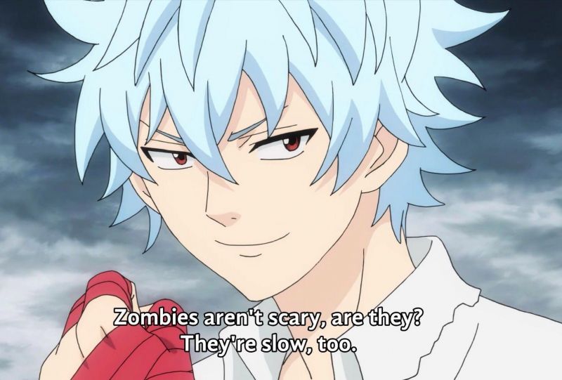 shun kaidou shun kaidou